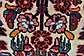 5' x 8' 8 Borchelu Persian Rug thumbnail image 4