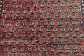3' 7 x 9' 10 Botemir Persian Runner Rug thumbnail image 5