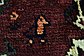 5' 6 x 8' Ghashghaei Persian Rug thumbnail image 10