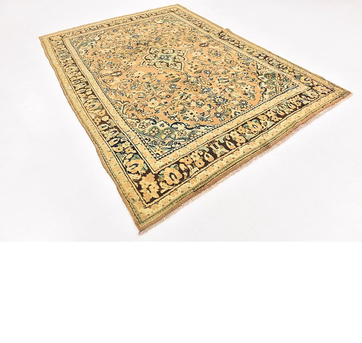 7' x 10' Farahan Persian Rug