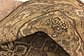 6' 5 x 9' 5 Tabriz Persian Rug thumbnail image 9