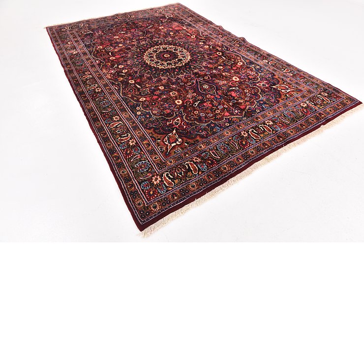 6' 9 x 10' 4 Birjand Persian Rug