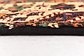 6' 9 x 10' Ghashghaei Persian Rug thumbnail image 8