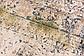 305cm x 440cm Villa Rug thumbnail image 8