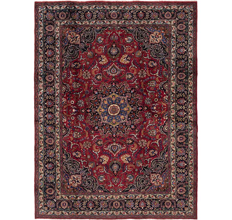 8' 3 x 11' Birjand Persian Rug