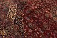 9' 7 x 13' 4 Kashan Persian Rug thumbnail image 6