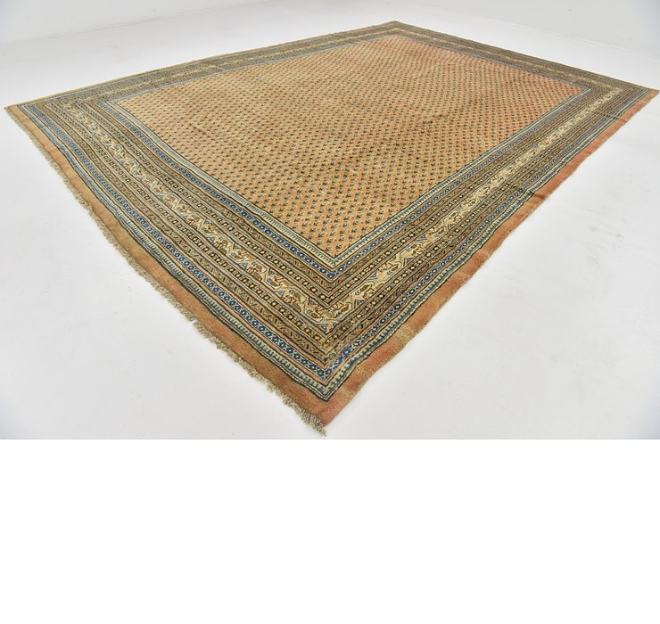 11' x 15' Botemir Persian Rug