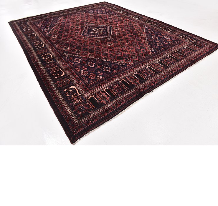 10' x 12' 9 Maymeh Persian Rug
