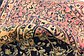 9' x 11' Shahrbaft Persian Rug thumbnail image 10