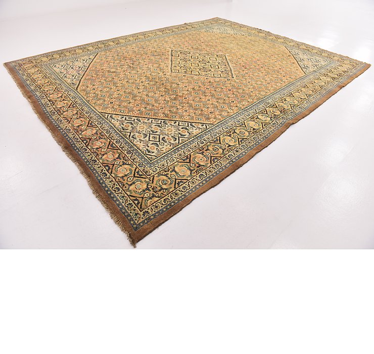 10' 3 x 13' 6 Farahan Persian Rug