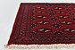 1' 7 x 3' 7 Torkaman Persian Rug thumbnail image 5