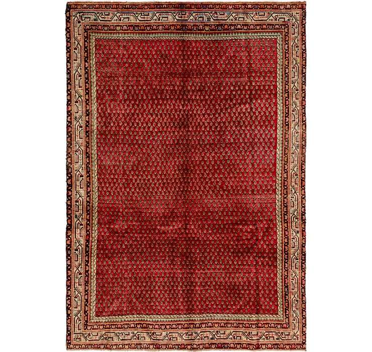 6' 10 x 10' Botemir Persian Rug