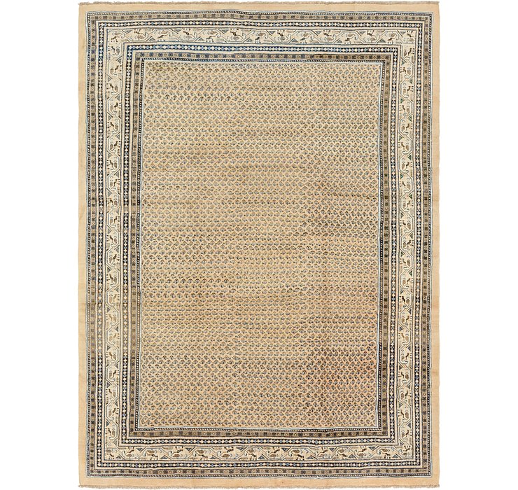 9' x 12' 7 Botemir Persian Rug