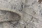 5' 5 x 9' Ultra Vintage Persian Rug thumbnail image 7