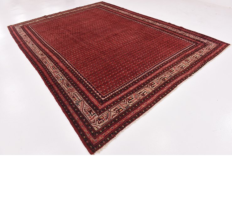 HandKnotted 9' x 12' 5 Botemir Persian Rug