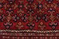 6' 8 x 10' Bakhtiar Persian Rug thumbnail image 5
