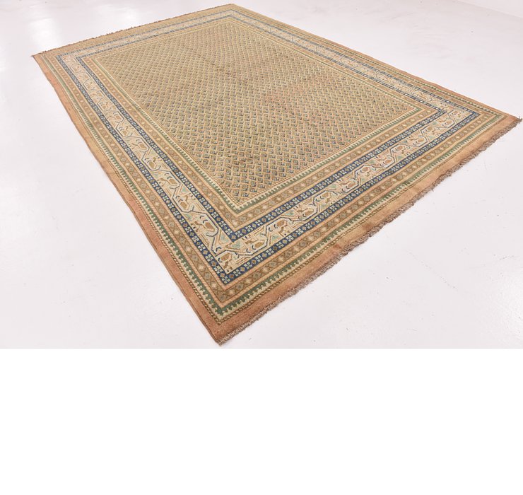 7' 7 x 11' Botemir Persian Rug