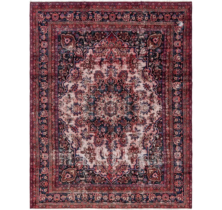 9' 3 x 12' Birjand Persian Rug