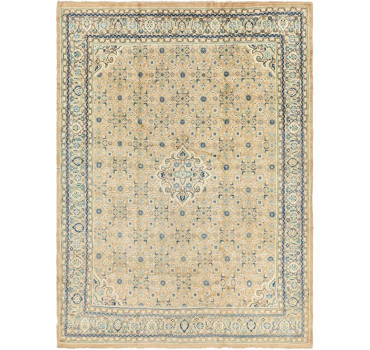 10' x 13' 6 Farahan Persian Rug