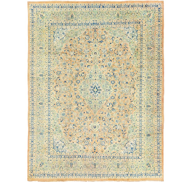 9' 5 x 12' 9 Farahan Persian Rug