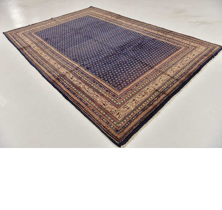 HandKnotted 7' x 10' 4 Botemir Persian Rug