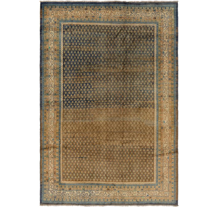 7' x 10' 7 Botemir Persian Rug