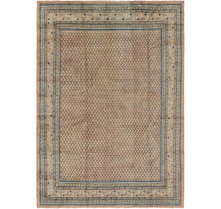 220cm x 305cm Botemir Persian Rug