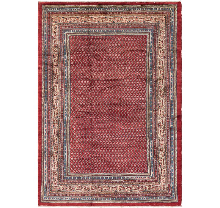 7' x 10' 7 Botemir Persian Rug
