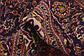6' 6 x 10' Kashan Persian Rug thumbnail