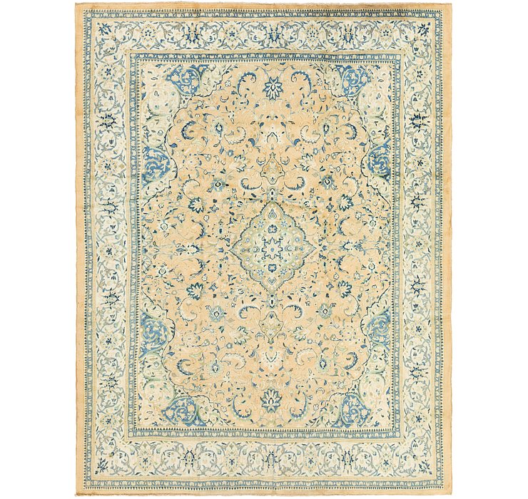 9' 9 x 14' Farahan Persian Rug
