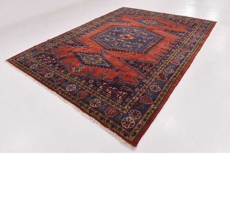 9' x 12' Viss Persian Rug
