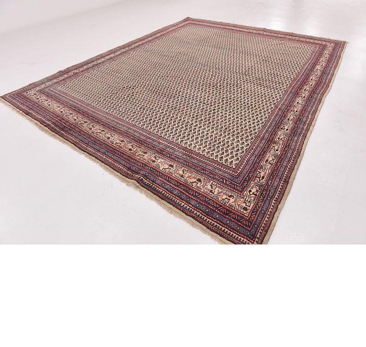 9' 10 x 12' 4 Botemir Persian Rug