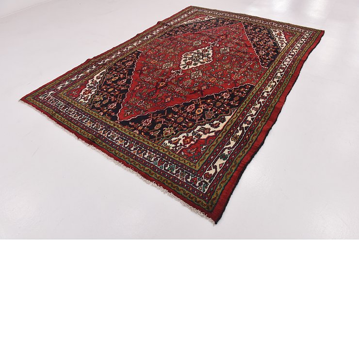 HandKnotted 7' x 10' Hamedan Persian Rug
