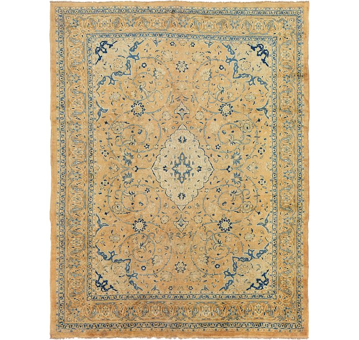 10' x 13' 3 Farahan Persian Rug