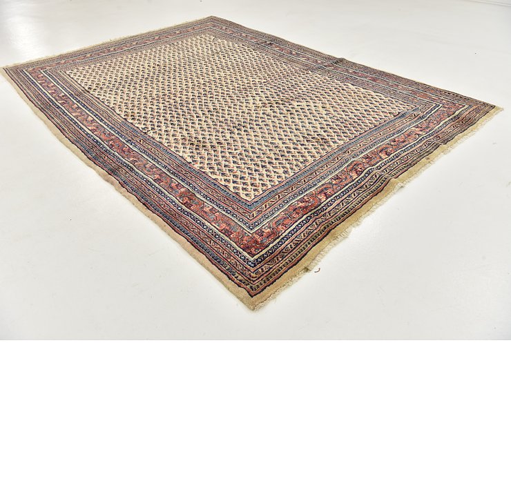7' 3 x 10' 3 Botemir Persian Rug