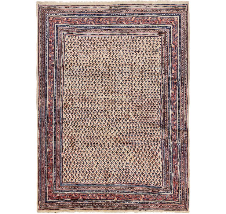 220cm x 312cm Botemir Persian Rug