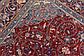 7' 8 x 10' 8 Farahan Persian Rug thumbnail