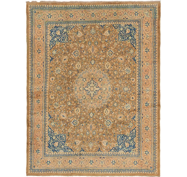 9' 9 x 12' 9 Farahan Persian Rug