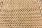 6' 10 x 10' 6 Botemir Persian Rug thumbnail