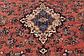 10' x 14' Hamedan Persian Rug thumbnail