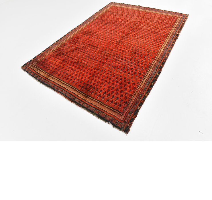 5' 5 x 8' 3 Botemir Persian Rug