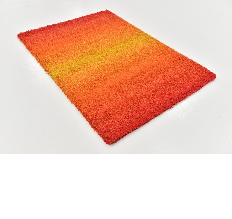 4' x 5' 7 Multi-Tone Shag Rug
