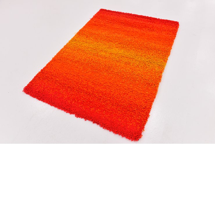 4' x 5' 7 Multi-Tone Shag Rug