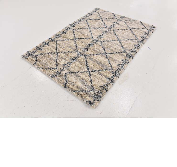 4' x 5' 8 Lagom Shag Rug