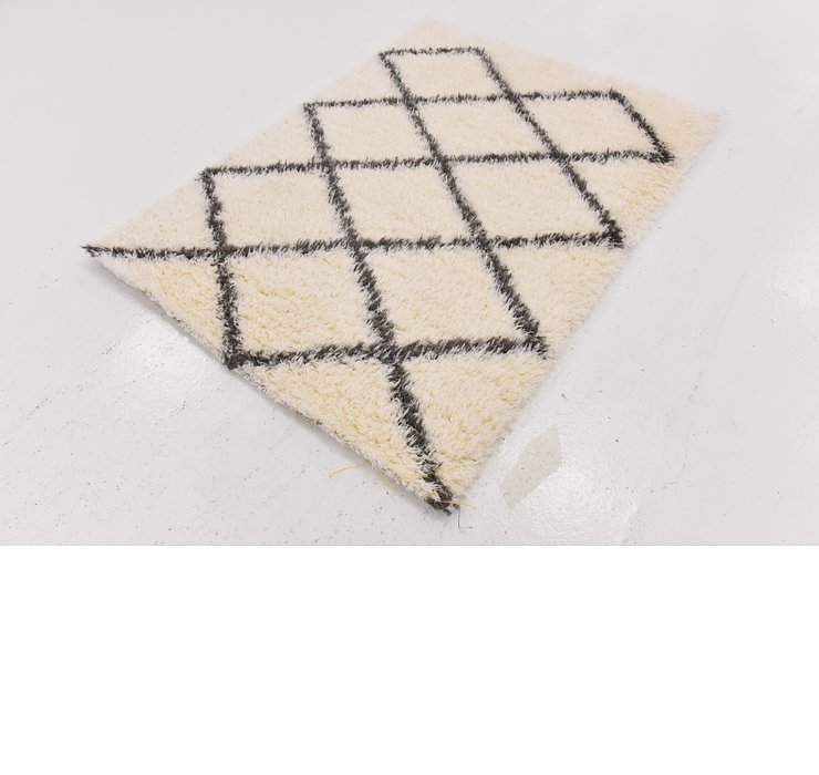 4' x 5' 5 Luxe Trellis Shag Rug