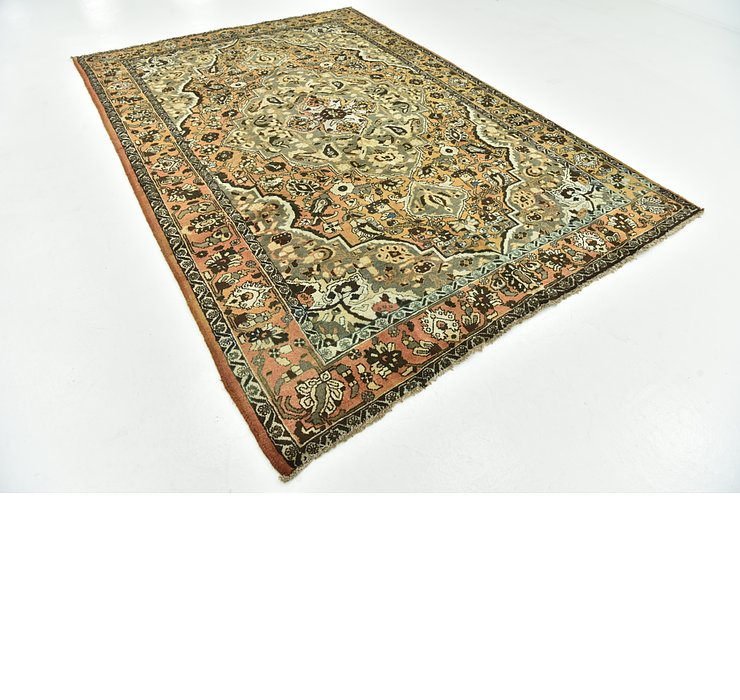 7' x 10' Bakhtiari Persian Rug