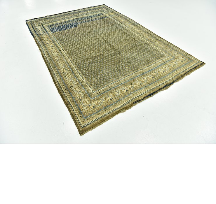 6' 3 x 9' Botemir Persian Rug