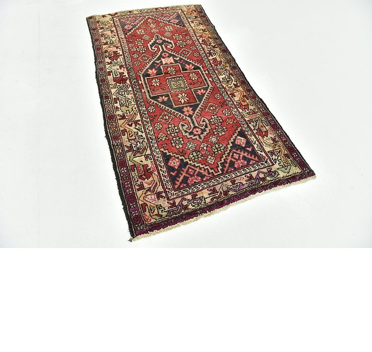 3' x 5' 9 Hamedan Persian Rug