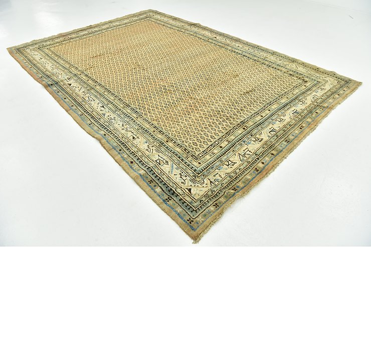 245cm x 348cm Botemir Persian Rug