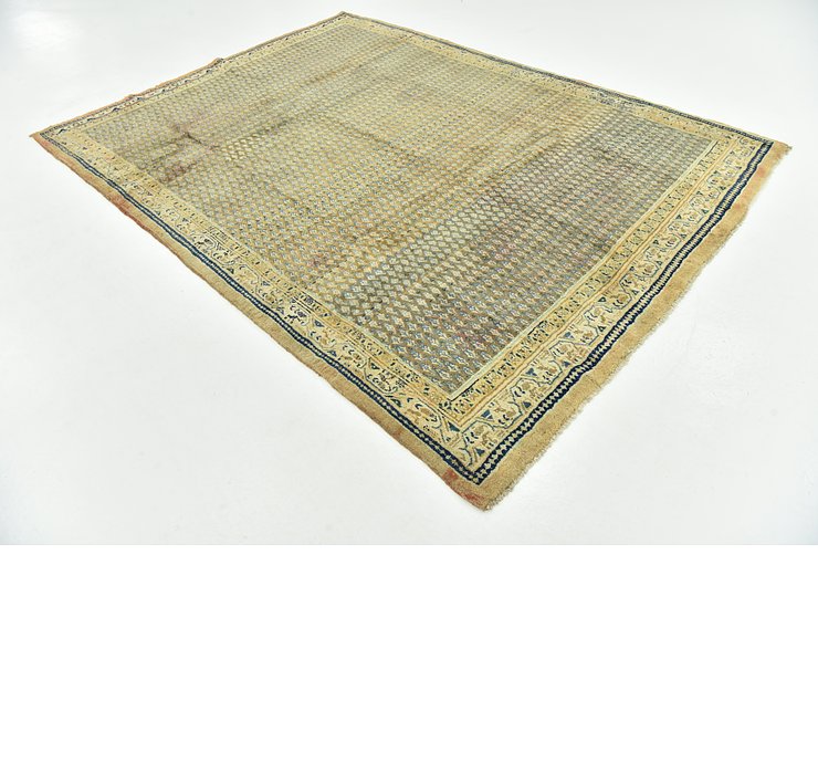 7' 1 x 9' 6 Botemir Persian Rug